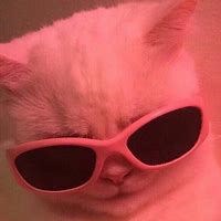 dansandeplugghäst05