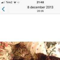 Marie51 digital volontär