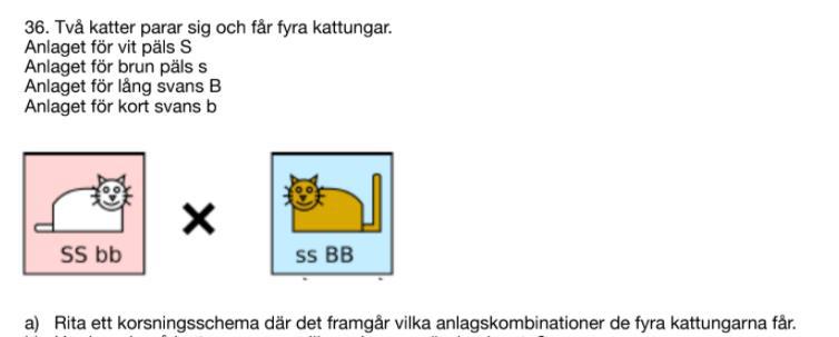 Hur ser gameterna ut (Biologi/Biologi 1) u2013 Pluggakuten